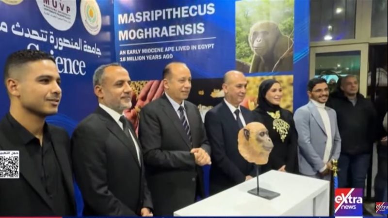 جامعة المنصورة