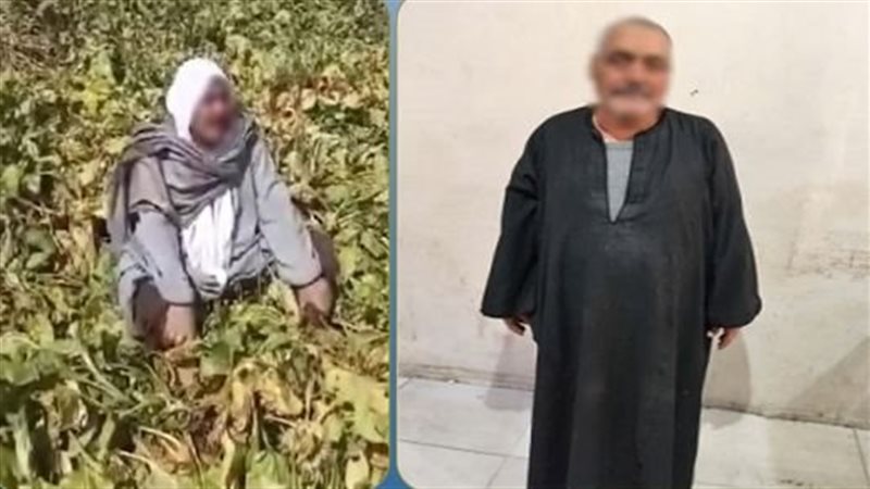 المتهم