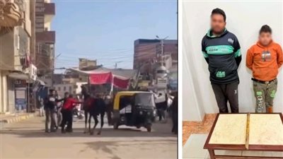 القبض على المتهمين بالتعدي على حصان باستخدام عصا خشبية بالغربية