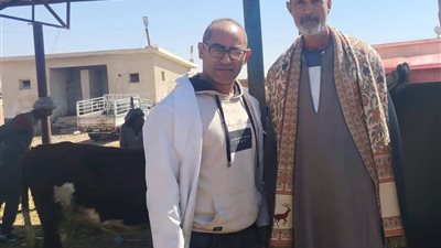 تحصين الماشية بسوق الألبان الجديدة في السويس ضد الجلد العقدي