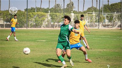 الإسماعيلي يحقق فوزا معنويا في بروفة أخيرة قبل معارك البقاء بالدوري