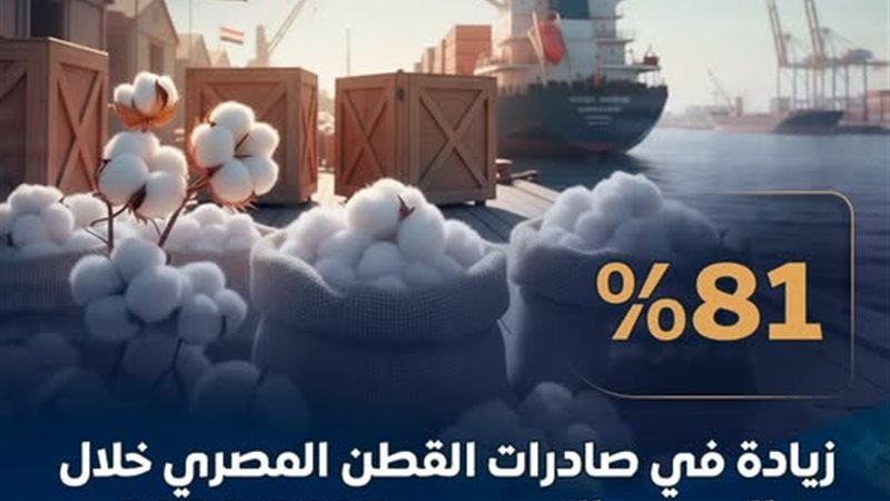 81 % زيادة نسبة صادرات