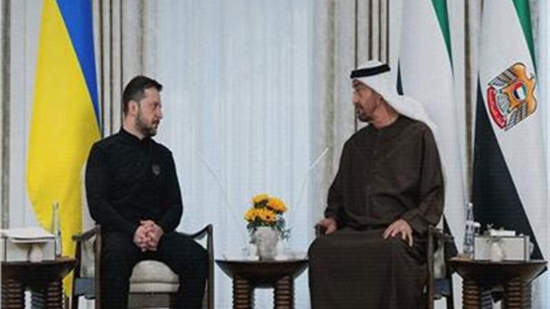 رئيس الإمارات ونظيره