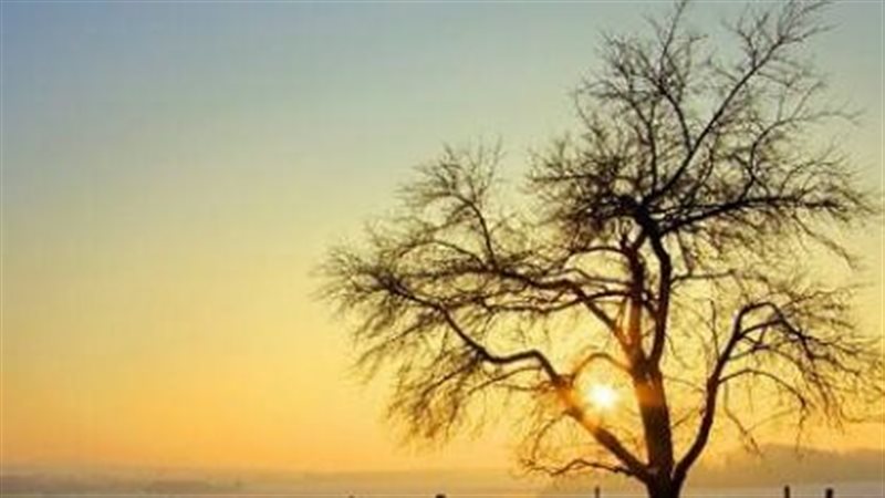 أذكار المساء المستحبة