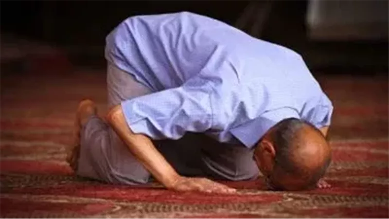 كيف يقضي المسافر
