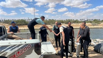 مصرع 3 من أسرة واحدة في حادث انقلاب تروسيكل بمياه مشروع ناصر بالبحيرة