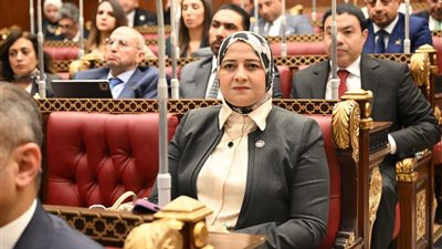 مروة قنصوة تطالب بسرعة نقل مجلس الشيوخ إلى مقر العاصمة الإدارية أسوة بالنواب 