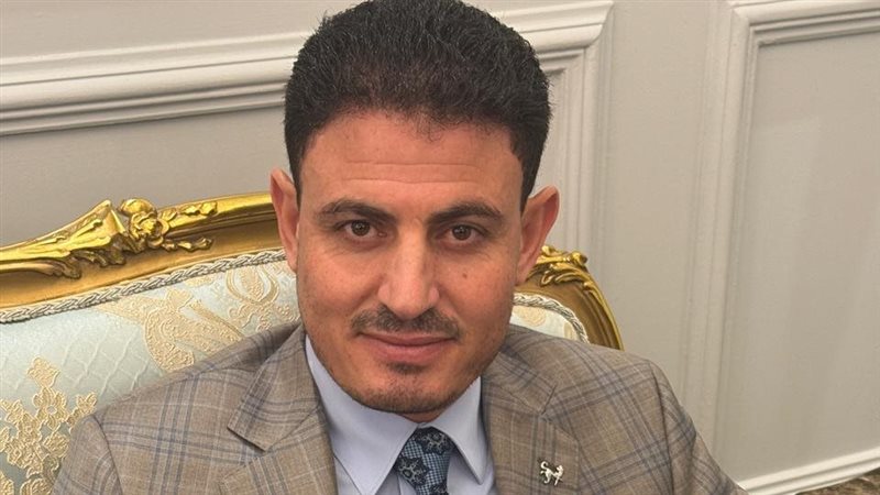 النائب عبدالناصر