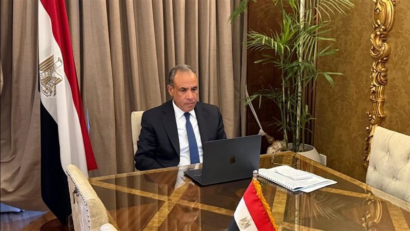 بدر عبد العاطي وزير
