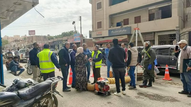 المهندسة دينا عمر