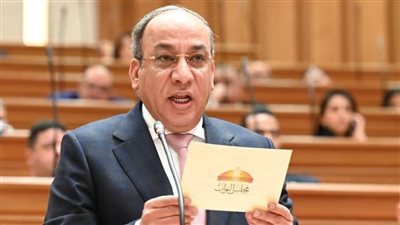 دينية النواب: الداخلية تنجح في إحباط مخططات 