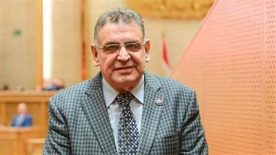 طلب برلماني لإنشاء كوبري على ترعة الإسماعيلية لخدمة قرى القصاصين