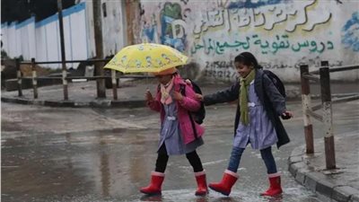 تحذير من الأرصاد: شبورة وأمطار تضرب هذه المناطق خلال الساعات القادمة