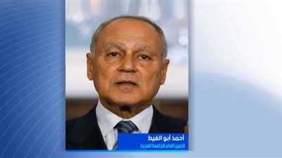 أحمد أبو الغيط: ندين استهداف منزل رئيس إقليم كردستان العراق