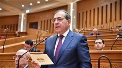 توصية برلمانية بشأن أزمة إجازات العاملين بوزارة الكهرباء 