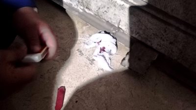تحرير 33 مخالفة للمحلات التي لم تلتزم بقرار الغلق في المواعيد المحددة بسوهاج 