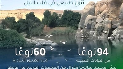 جزر سالوجا وغزال… واحة الحياة البرية وسط نيل أسوان