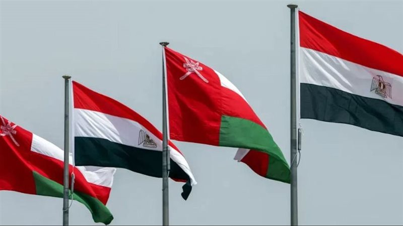 الجالية المصرية في
