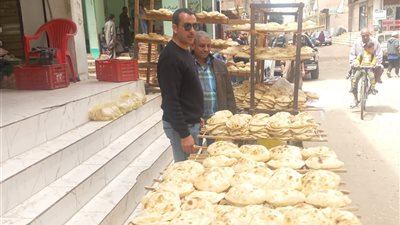 290 محضرًا تموينيًا خلال حملات رقابية مكثفة بالمراكز والأحياء بأسيوط 