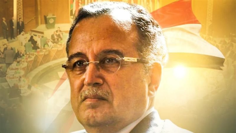 نبيل فهمي