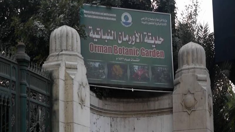نشوب حريق بحديقة