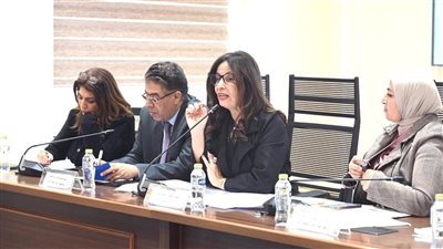 الثقافة في مواجهة الأزمات.. جيهان زكي تطرح خريطة الوعي أمام البرلمان