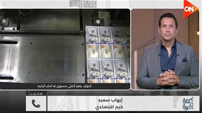 إيهاب سعيد: المركزي تحرك استباقيا بسياسة الصرف المرن لحماية الجنيه