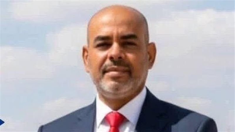 النائب محمد أبو الخير