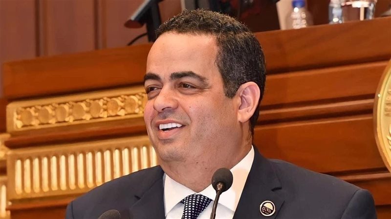 النائب عصام عفيفي