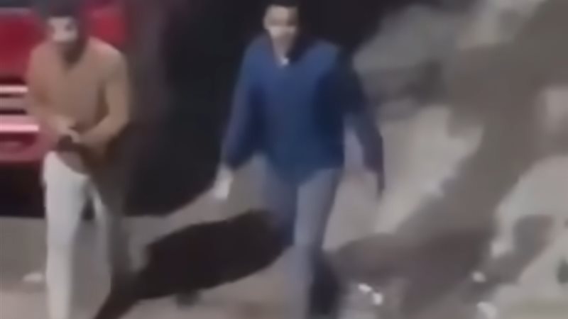 الخناقة