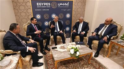  وزراء الشباب والبترول والثروة المعدنية والتعليم العالي يناقشون تأهيل الكفاءات