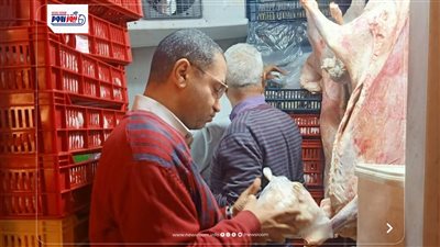 ضبط 4 أطنان لحوم فاسدة في المنيا خلال أسبوع وإعدام 563 كيلو