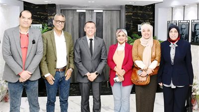 محافظ أسوان يوجه بتنفيذ جداريات فنية تعكس الهوية البصرية للتراث الأسوانى 