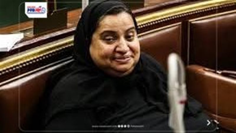 النائبة عبير الخولى