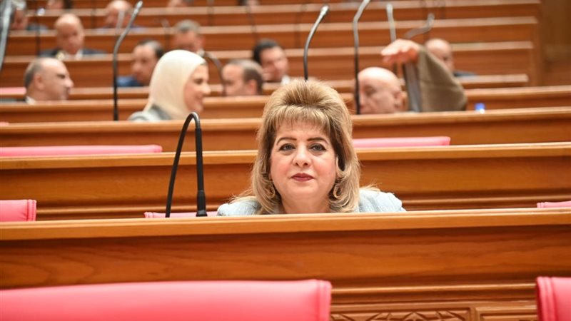 النائبة هناء أنيس