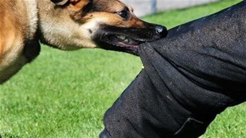 صورة تعبيرية