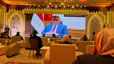 مصر تؤكد دعم كبار السن عربيًا: التضامن تشارك في حدث تنفيذ الاستراتيجية العربية