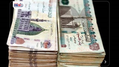 موعد صرف معاشات مايو 2026.. موقع التأمينات للاستعلام عن الزيادة المرتقبة