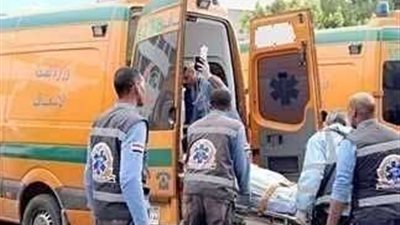 لخلافات الجيرة.. مصرع مسن وإصابة شخصين بجروح خطيرة بالبحيرة