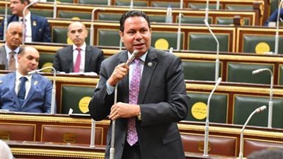 هشام الحصري: زيادة سعر توريد القمح ل 2500 جنيه خطوة هامة لتشجبع الإنتاج المحلي