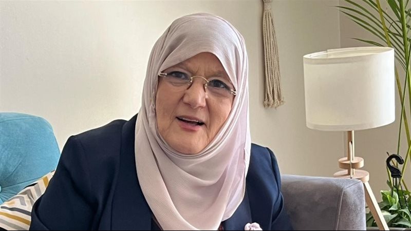 شمس البارودي