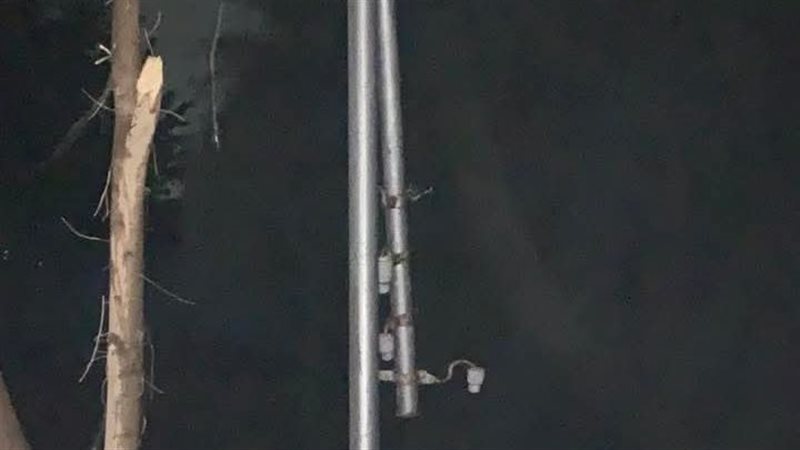 العمود 