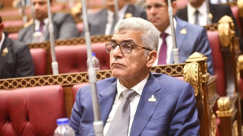 محمد سلامة 