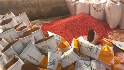 الزراعة: ضبط مركز لتعبئة وغش تقاوي 