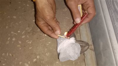 محافظ أسيوط: ضبط 30 محلًا مخالفًا لمواعيد الغلق وتشميعه خلال حملات مكثفة