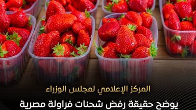 مجلس الوزراء ينفي رصد فراولة مسرطنة بالأسواق المصرية 