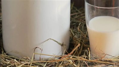 أفضل مواعيد شرب الحليب لصحة العظام والوقاية من الهشاشة