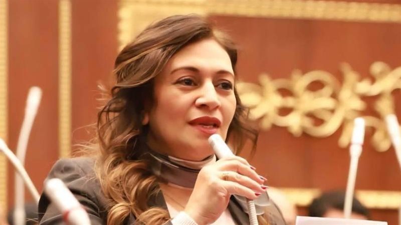 النائبة نيفين فارس