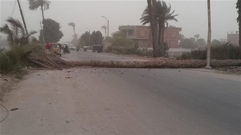 سقوط نخلة
