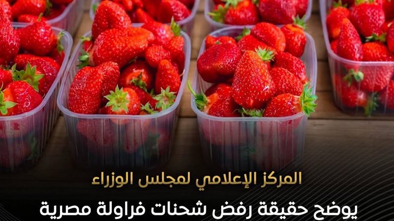 مجلس الوزراء ينفي
